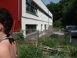 Bilder aus 2011