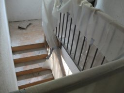 Bilder aus 2011