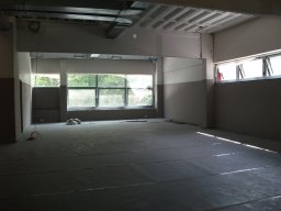 Bilder aus 2011