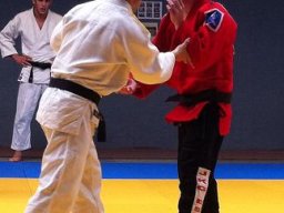 Bilder aus 2011