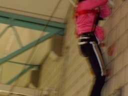 Bilder aus 2012