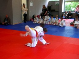 Bilder aus 2015