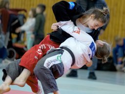 Bilder aus 2023
