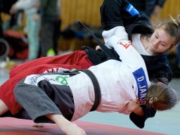 Bilder aus 2023