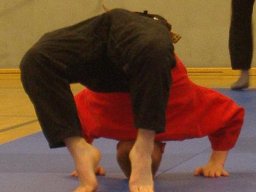 Bilder aus 2010 oder früher