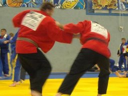Bilder aus 2010 oder früher