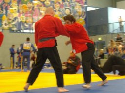 Bilder aus 2010 oder früher