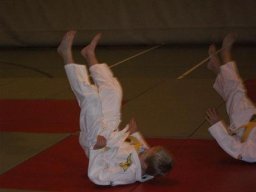 Bilder aus 2010 oder früher