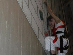 Bilder aus 2010 oder früher